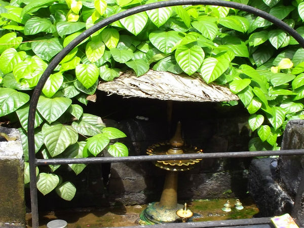 panachikkadu saraswathi temple