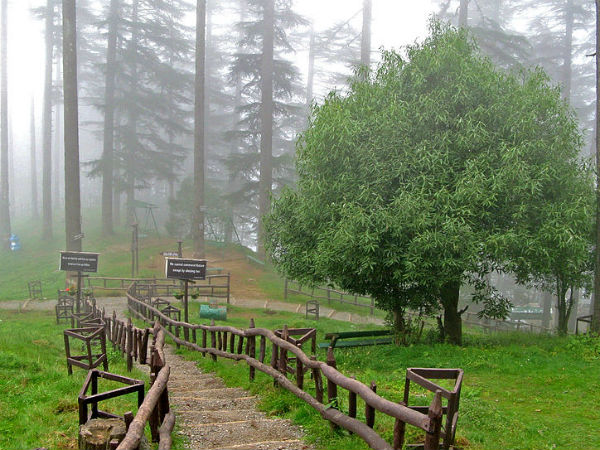 kanatal tour package from delhi