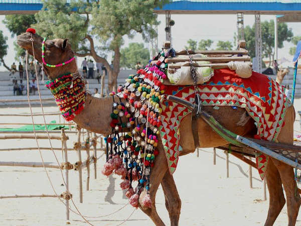 PUSHKAR MELA PUSHKAR MELA