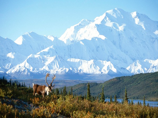 Brooks Range Brooks Range