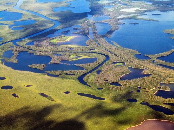 Mackenzie Delta