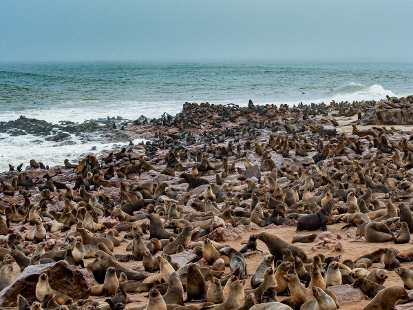 Skeleton Coast 4