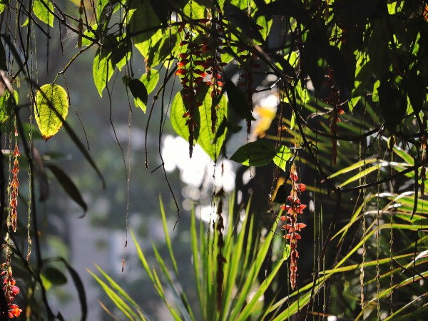 ghgjgjhgjg ghgjgjhgjg