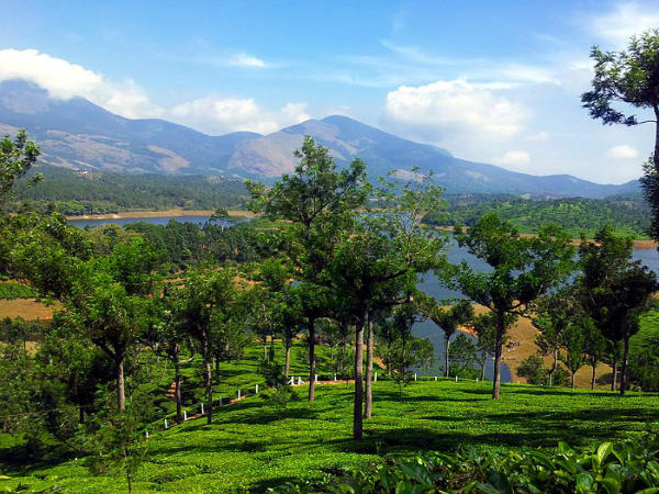 munnar