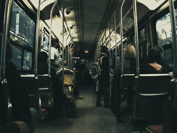 bus bus