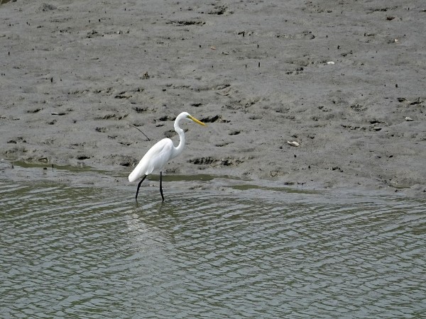 Ramsar site