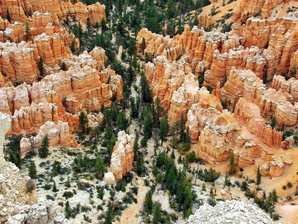 Bryce Canyon National Park 