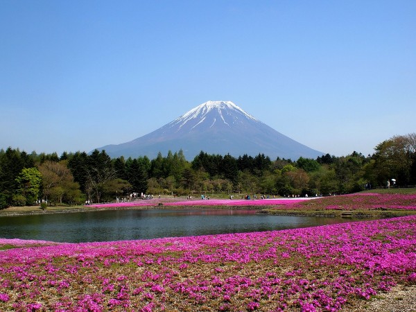 Mount Fuji