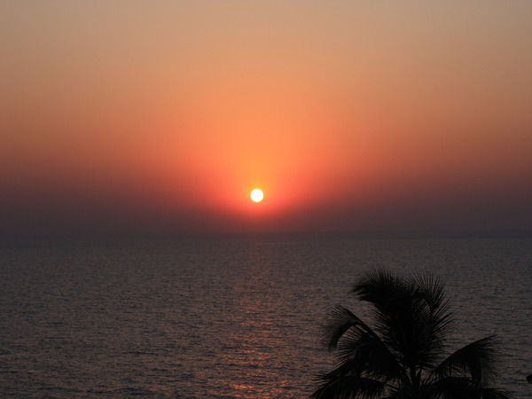 Goa News Goa News