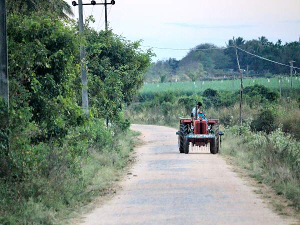 Agriculture Agriculture