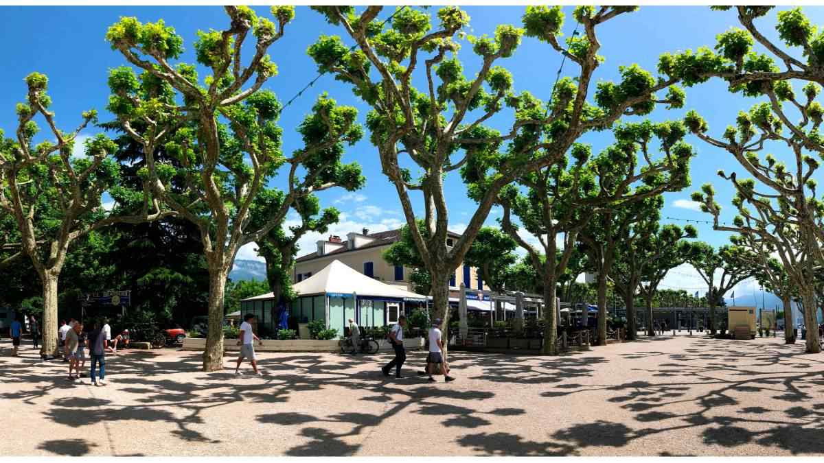 Le Jardinier Le Jardinier