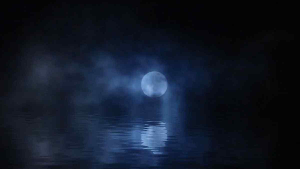 moonlightswingsinscotland1