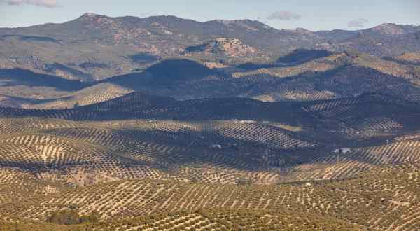 Jaen city in southern Spain Jaen city in southern Spain