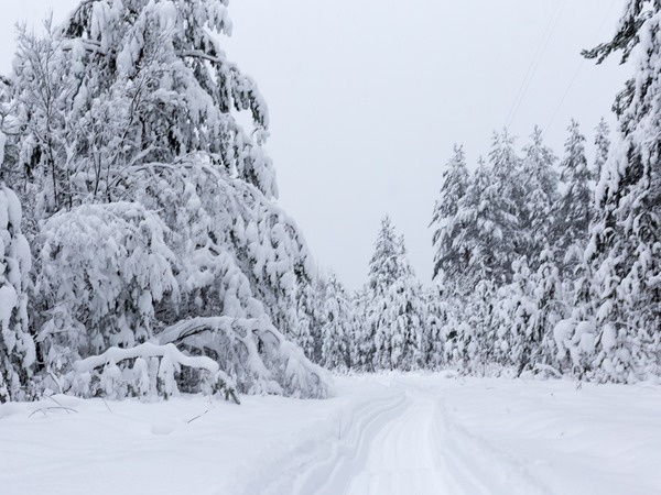 Snowfall News Snowfall News