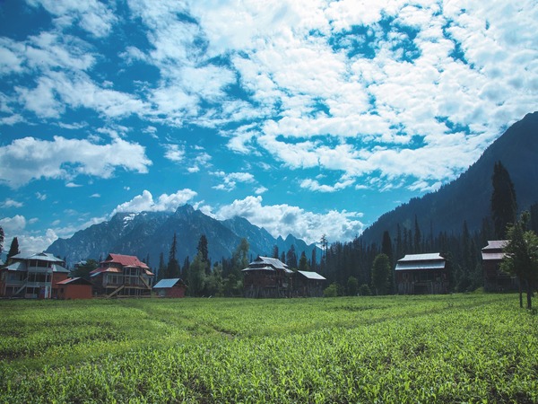 Kashmir Book Village Kashmir Book Village