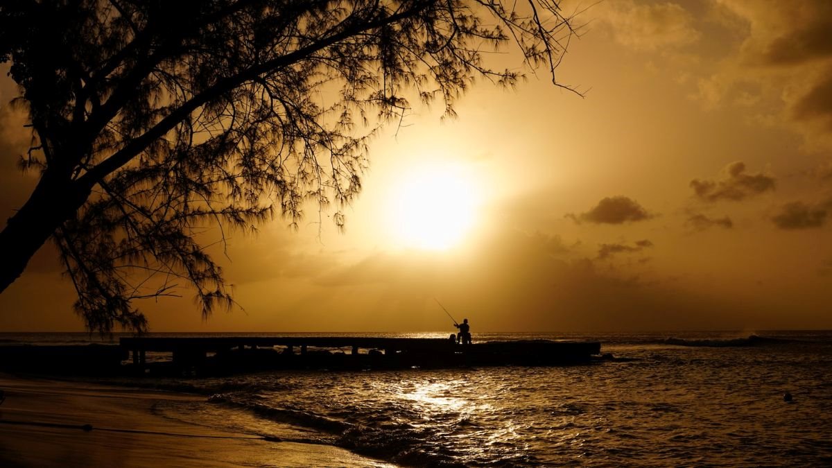 Barbados and the Cayman Islands