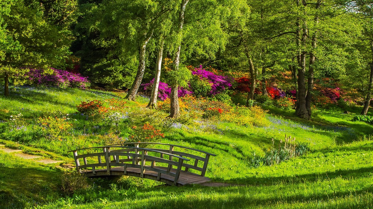Pink Parks
