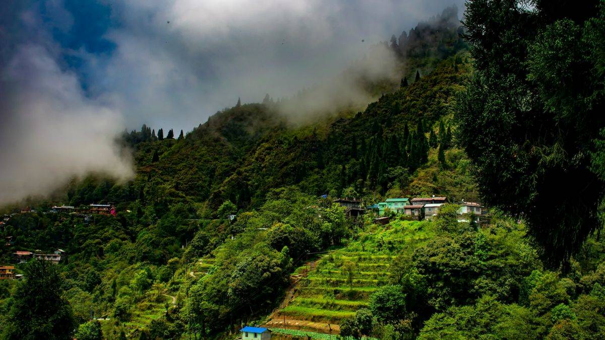Darjeelings Tea Estates Darjeelings Tea Estates