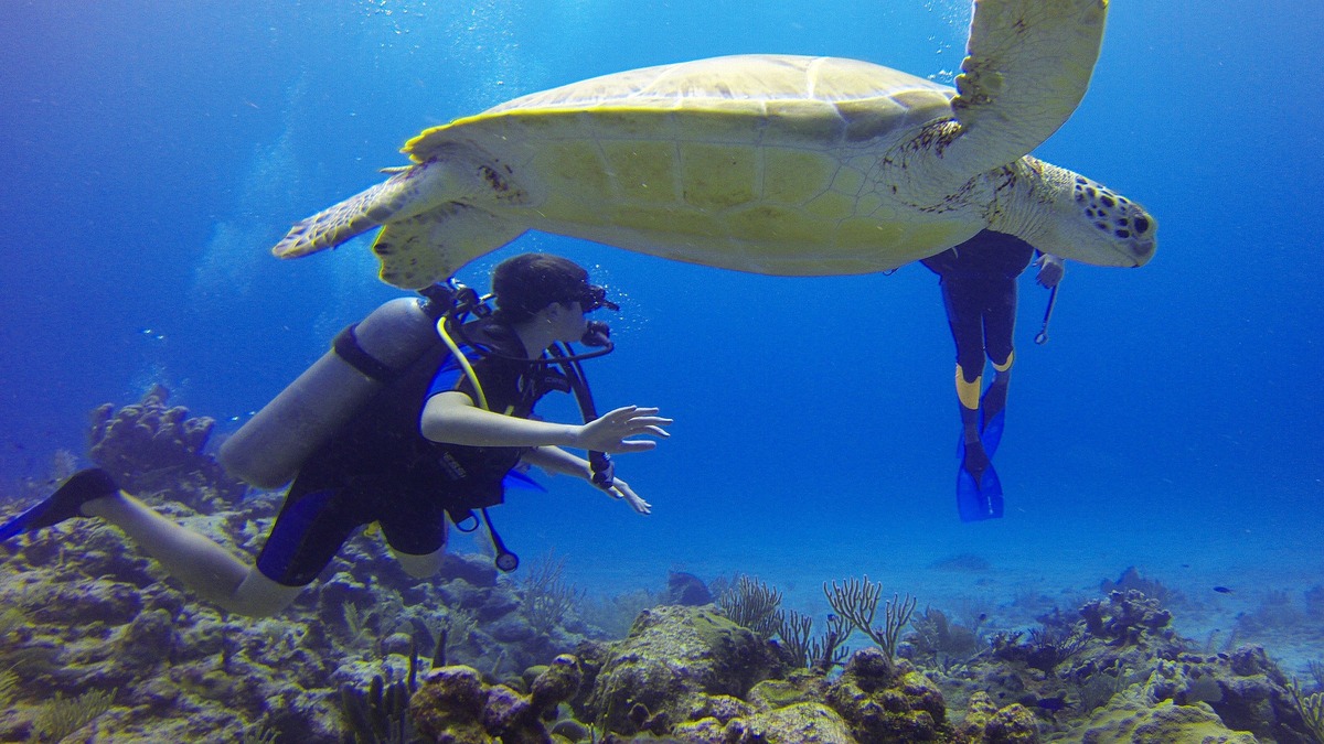 Scuba in India