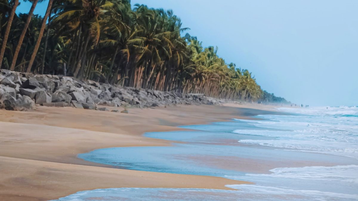 Tranquil Backwaters of Kerala