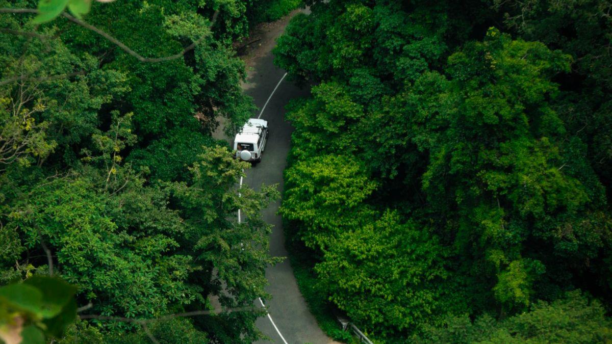 Tranquil Backwaters of Kerala