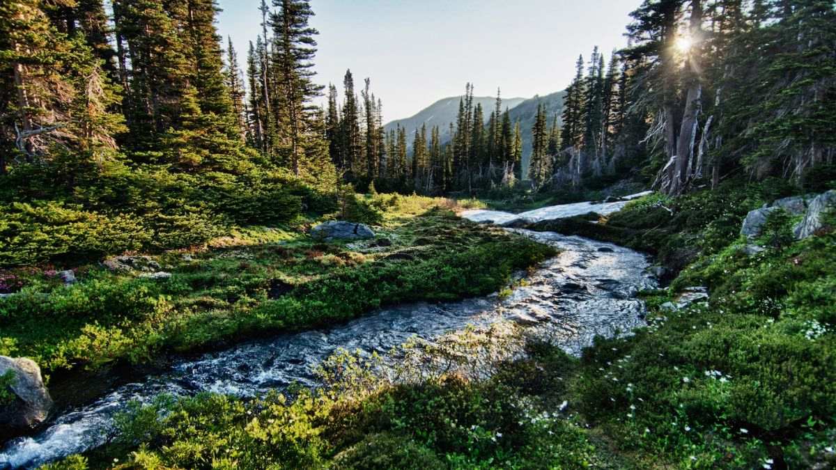 Olympic National Park