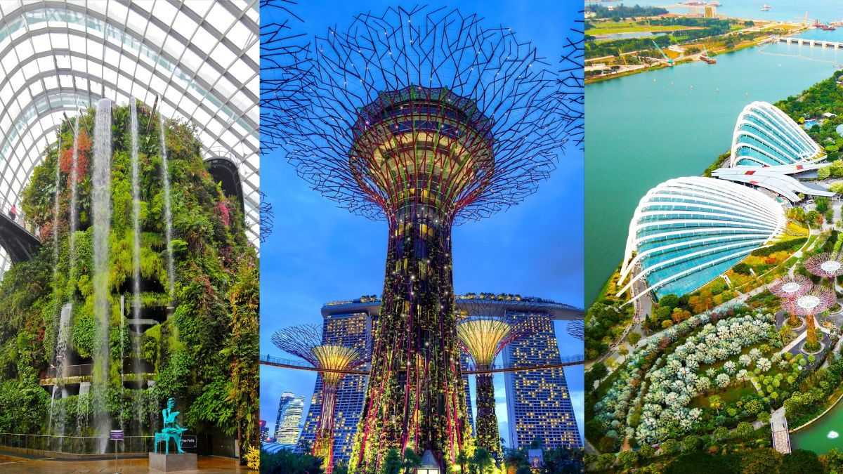 gardens of the Bay Singapore gardens of the Bay Singapore
