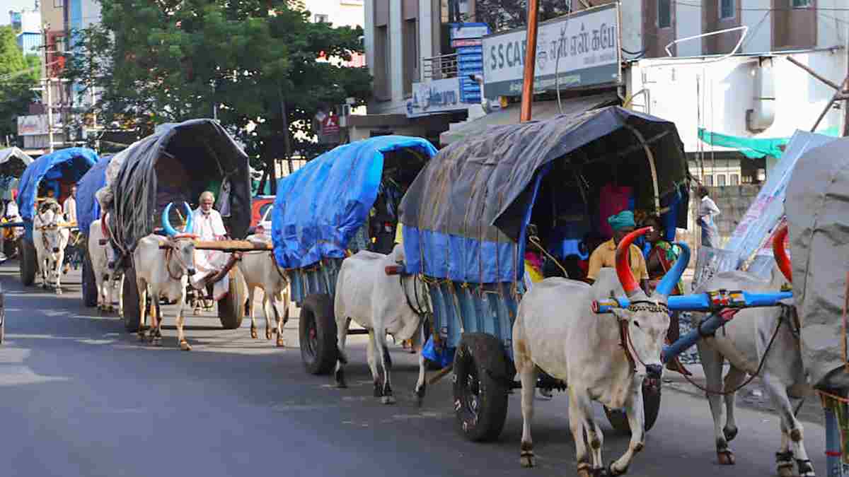 Trichy Trichy