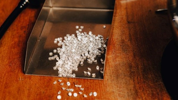 PM Modis Gift to First Lady PM Modis Gift to First Lady
