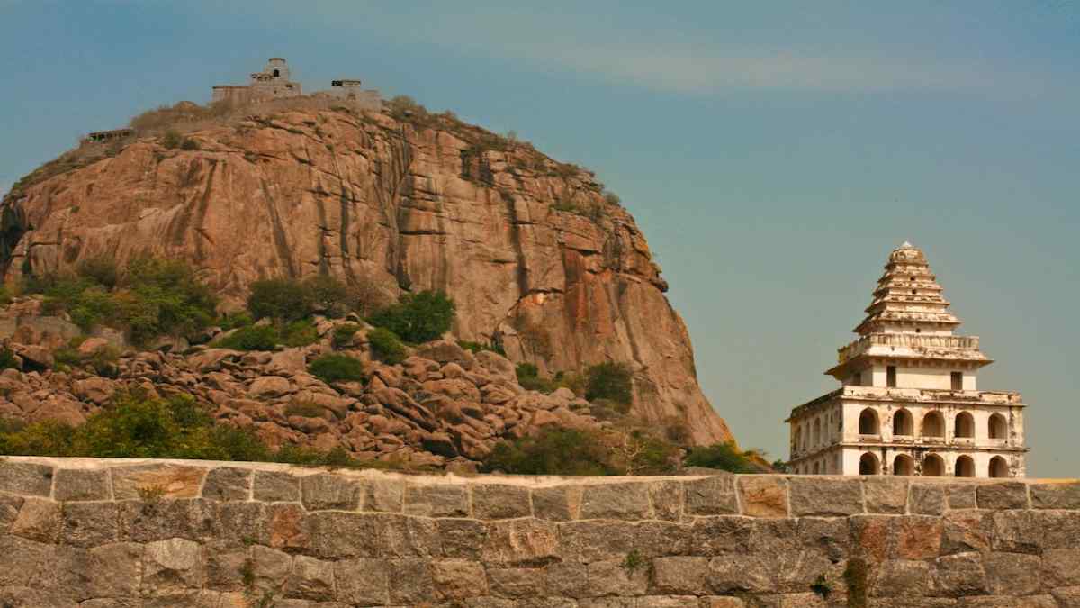 gingeefort1 gingeefort1