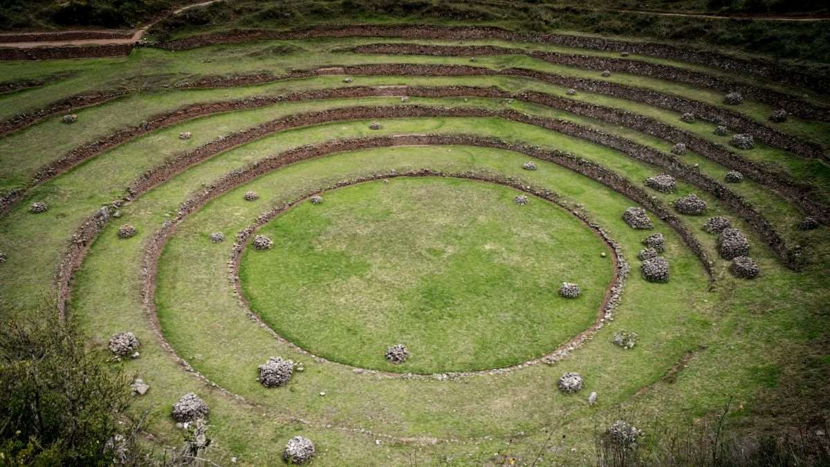 Exploring the Legacy of the Incas