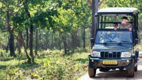 jeepsafaris jeepsafaris