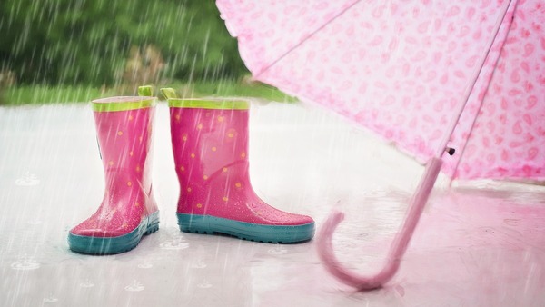 IMD Rain Warning