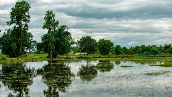 Siliguri: A Hidden Gem in India