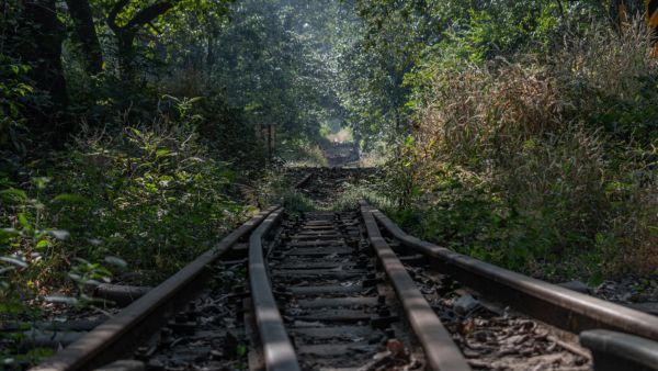 Matheran: Maharashtras Hill Station 