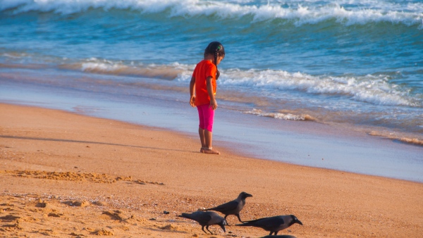 Padubidri Beach Udupi