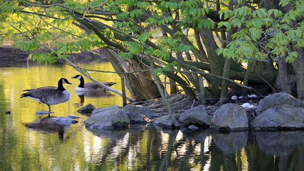 Biodiversity Parks India Biodiversity Parks India