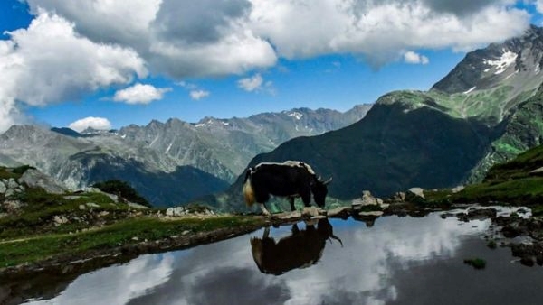 Bhaderwah