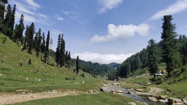 Bhaderwah