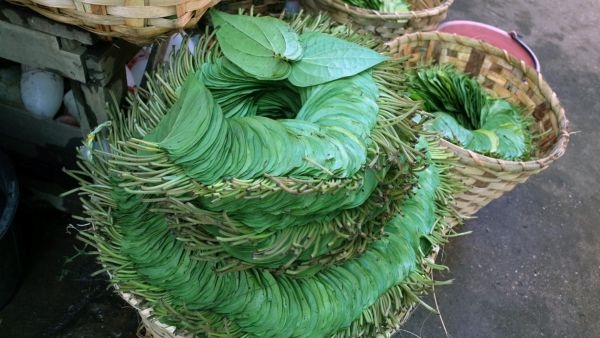 5. Masala Chai: Varanasis Masala Chai is a flavorful and aromatic blend of spices, milk, and tea leaves, offering a delightful and authentic taste of the city.