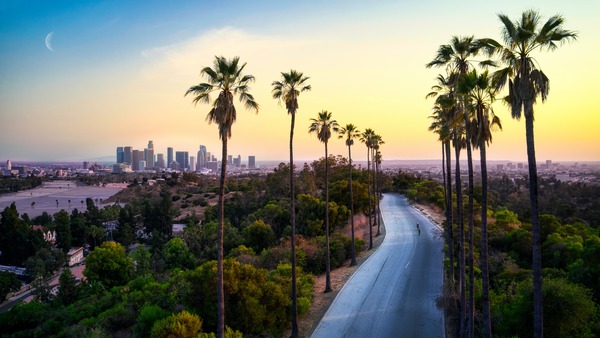 LA