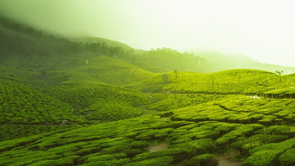 IRCTC Kerala Package