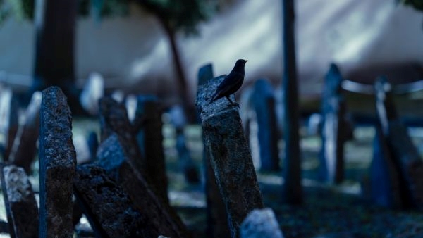 Cemetery Cemetery
