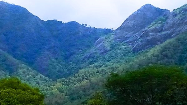 the Enchanting Nilgiri Mountains the Enchanting Nilgiri Mountains