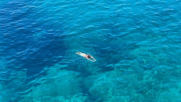Mauritiuss Vibrant Underwater Waterfall Mauritiuss Vibrant Underwater Waterfall