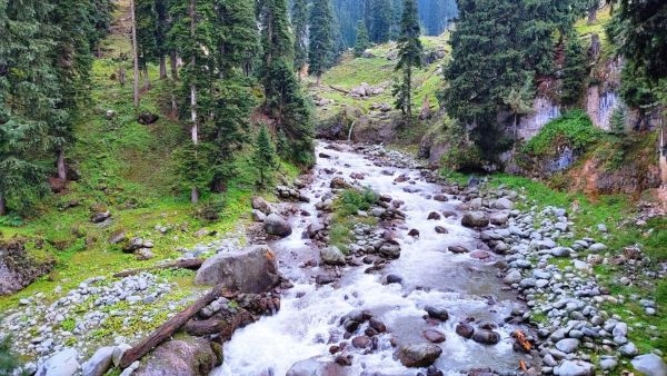 The Valley of Milk in Kashmir The Valley of Milk in Kashmir