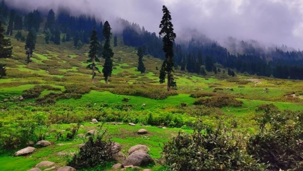 The Valley of Milk in Kashmir The Valley of Milk in Kashmir