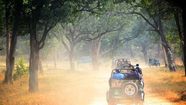 Bandhavgarh National Park Bandhavgarh National Park