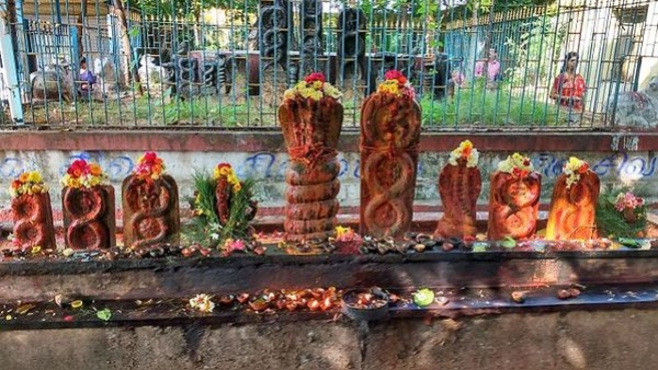 Image: Snake deity temple during Nag Panchami Image: Snake deity temple during Nag Panchami