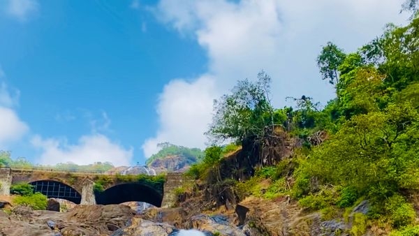 Image of people scuba diving in the clear waters of Goa